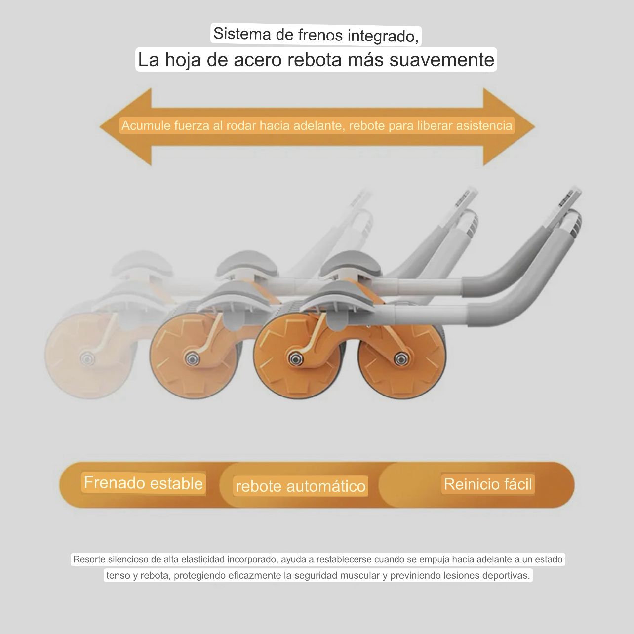 RUEDA ABDOMINAL MULTIFUNCIONAL